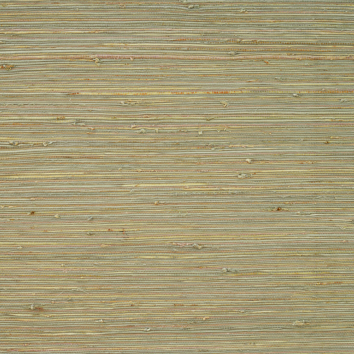 Cora Woven Bamboo Shade| Agave
